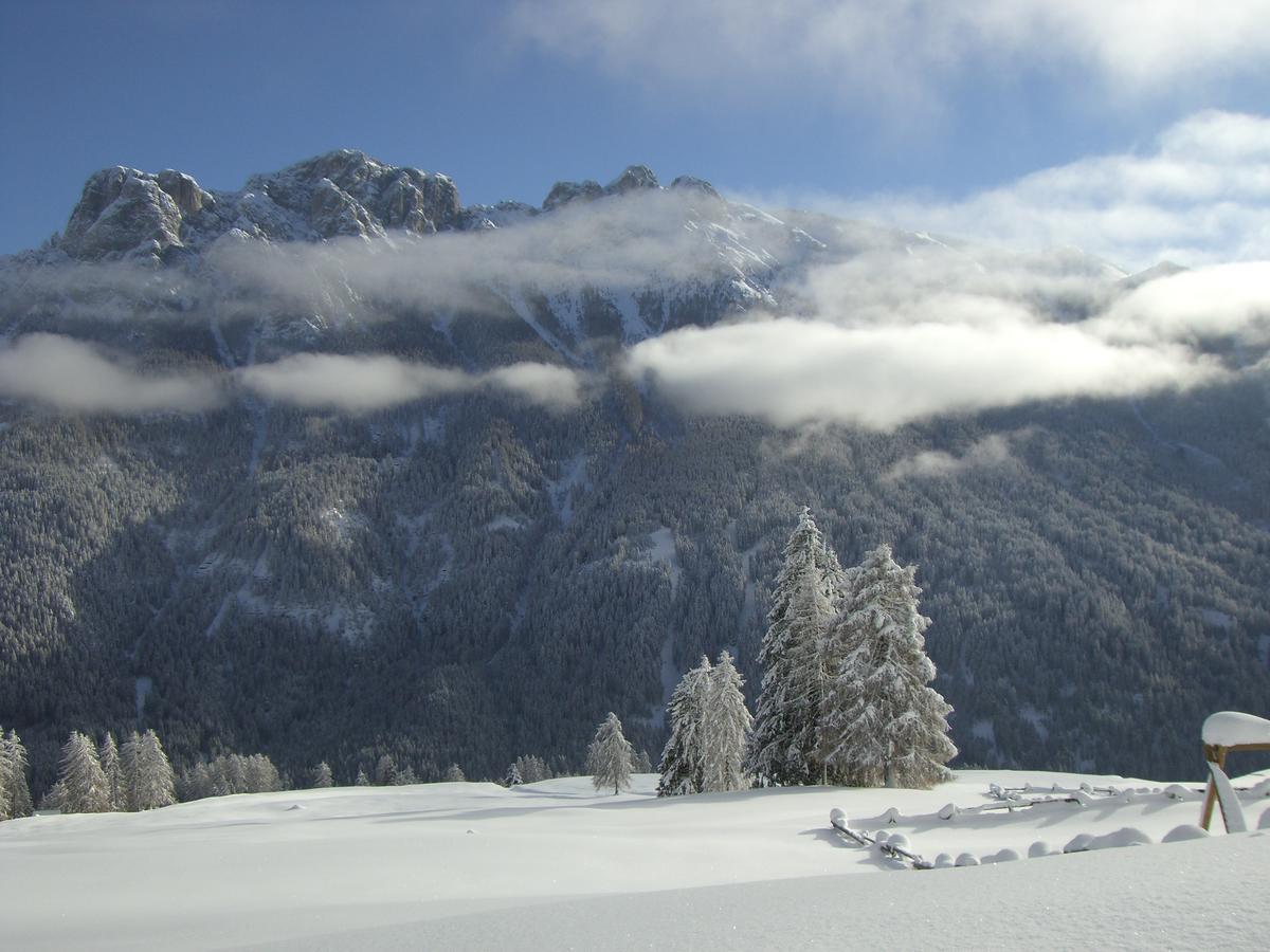 B&B Fior Vigo di Fassa Luaran gambar